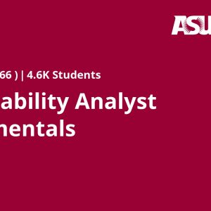 Sustainability Analyst Fundamentals