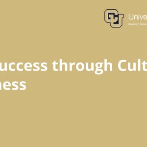 Team Success through Cultural Awareness