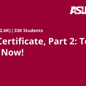 TESOL Certificate, Part 2: Teach English Now!