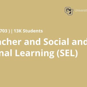 The Teacher and Social and Emotional Learning (SEL)