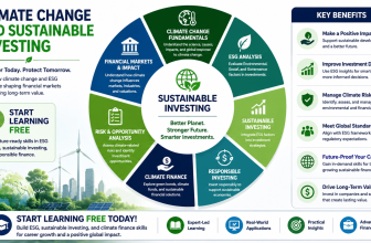 Climate Change and Sustainable Investing course covering ESG analysis, sustainable finance, responsible investing, climate risk, and financial markets
