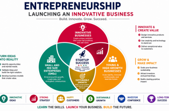 Entrepreneurship and Launching an Innovative Business course covering startup development, innovation, customer discovery, business models, and growth strategies.