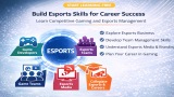 Start Learning Free Esports Skills: Build a Career in Competitive Gaming and Esports Management