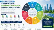Start Learning Free Sustainable Business Strategy for Future Leaders: Build High-Impact Skills in Strategy, Sustainability, and Leadership